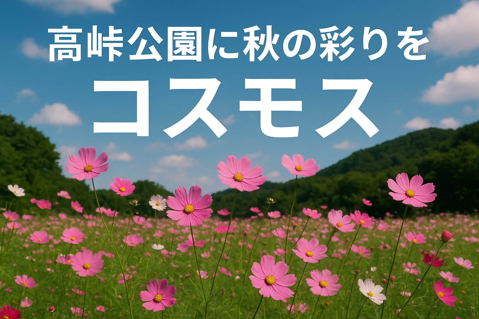 高峠公園に秋の彩りを